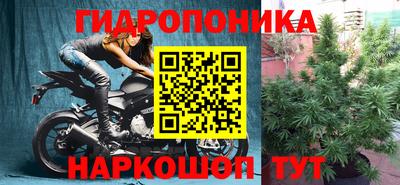 прущие крисы Среднеуральск