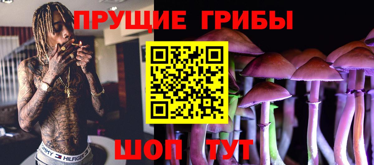 Галлюциногенные грибы ЛСД  Вход с VPN  Ноябрьск 