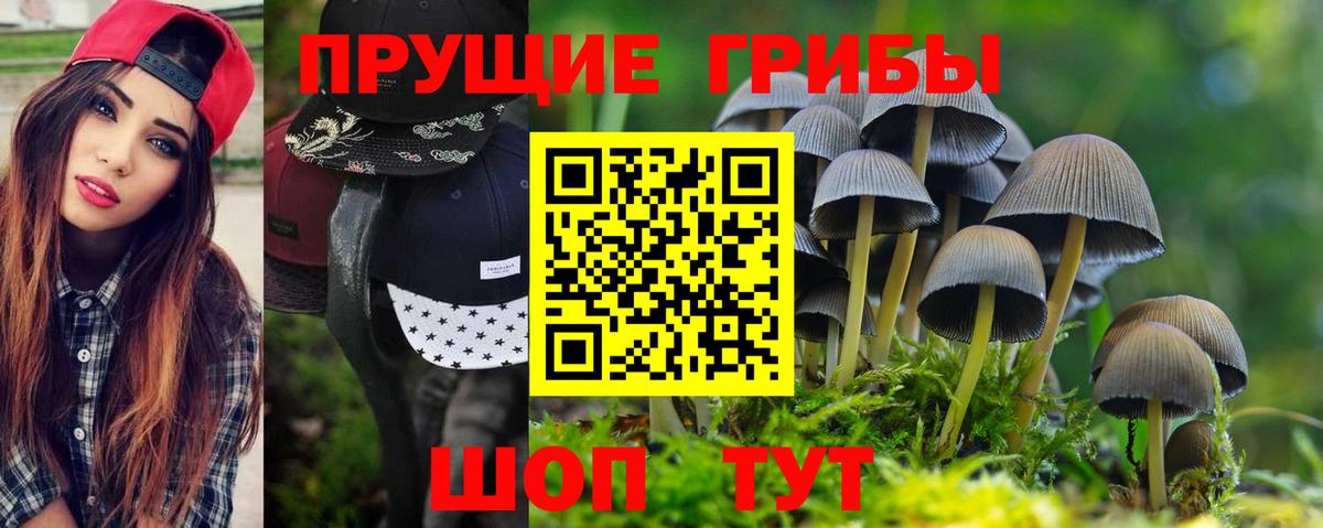 Псилоцибиновые грибы мухоморы Ноябрьск